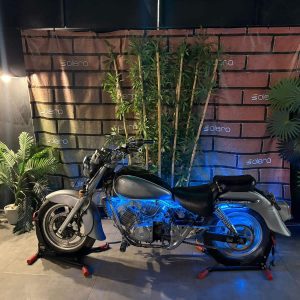 WhatsApp Image 2026-02-15 at 15.20.16